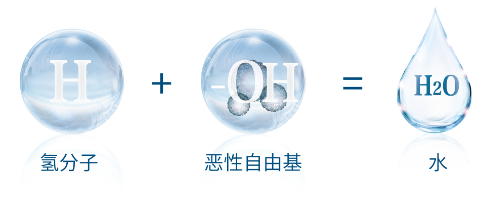 图片 6.png